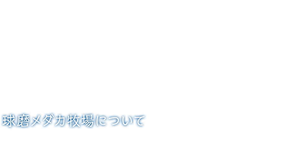 球磨メダカ牧場について