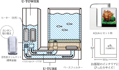 テトラやｇｅｘ水槽の評判 おすすめ水槽セット 球磨メダカ牧場