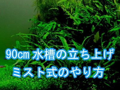 ミスト式で水槽を立ち上げ 照明時間や注水時期や期間は 球磨メダカ牧場